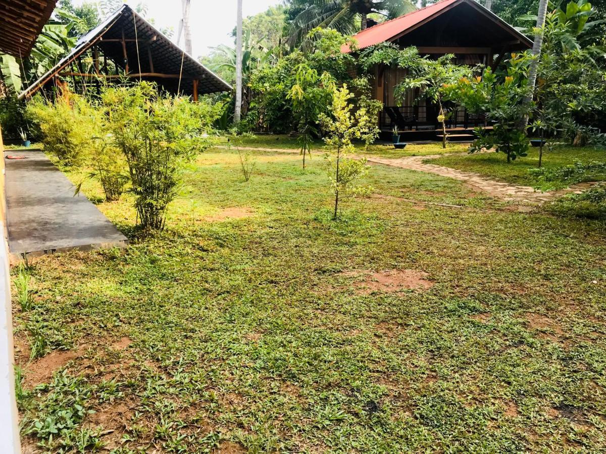Hotel Mango Tree House à Uda Walawe Extérieur photo