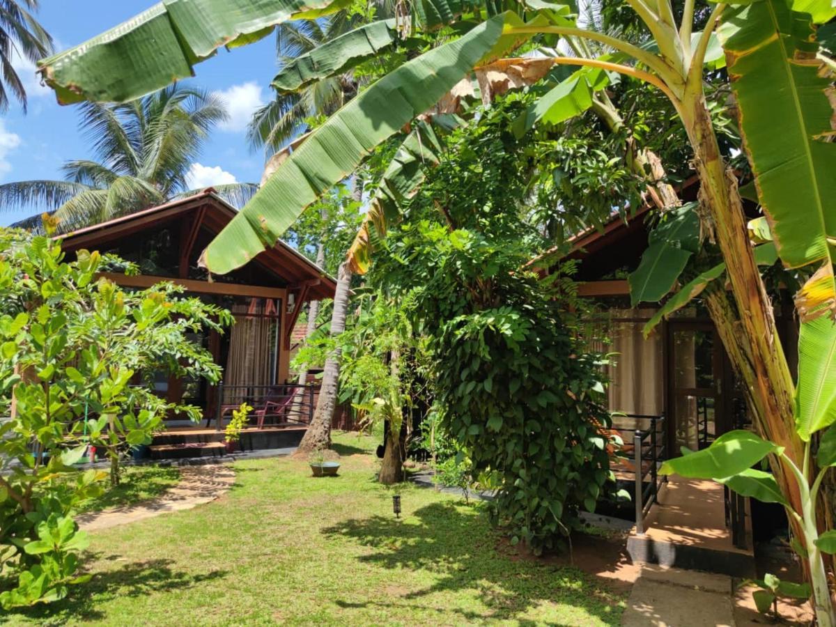 Hotel Mango Tree House à Uda Walawe Extérieur photo