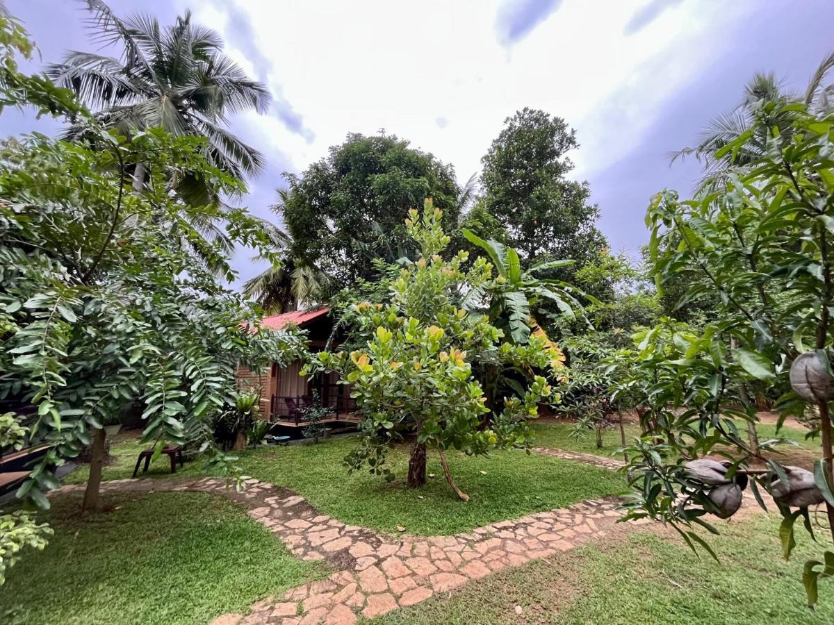 Hotel Mango Tree House à Uda Walawe Extérieur photo