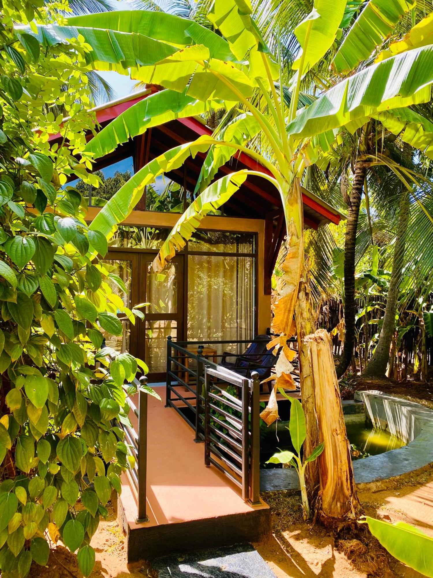 Hotel Mango Tree House à Uda Walawe Extérieur photo