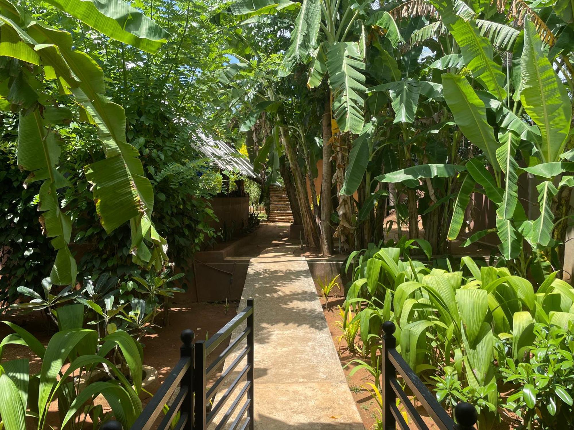 Hotel Mango Tree House à Uda Walawe Extérieur photo