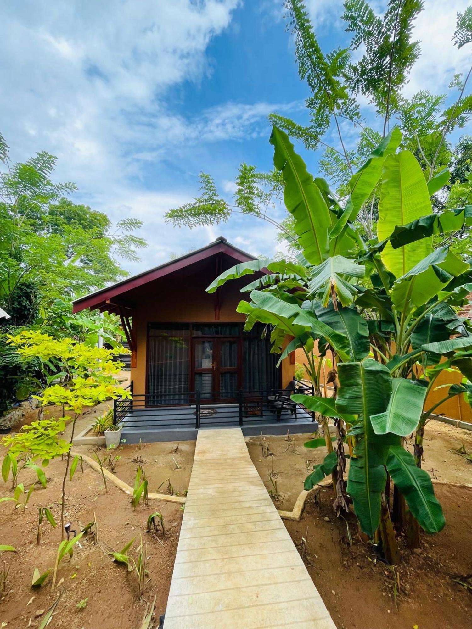 Hotel Mango Tree House à Uda Walawe Extérieur photo